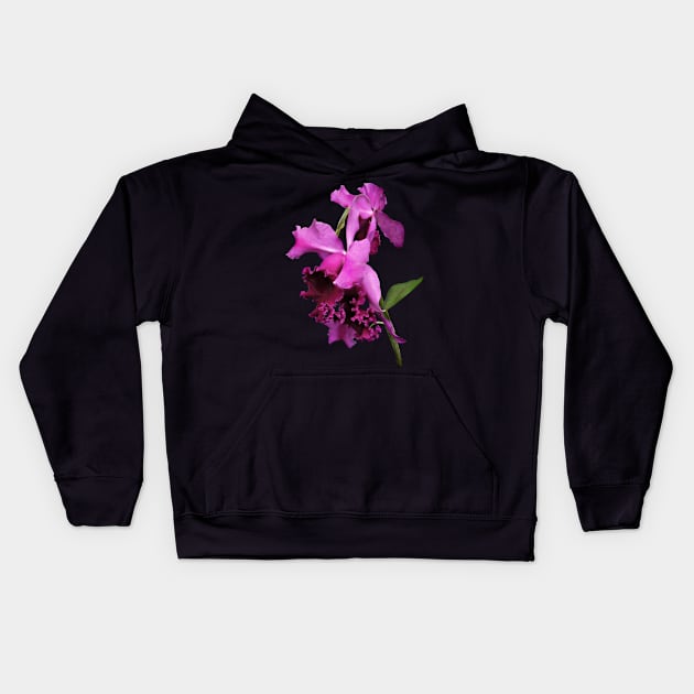 Orchid Harold Carls Kids Hoodie by SusanSavad